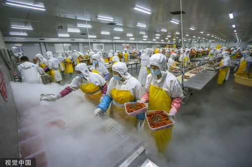 打1折的臨期食品，到底能不能吃？農(nóng)業(yè)科技研發(fā)給出答案